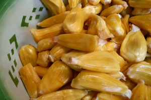 Jackfruit-Fruchtfleisch