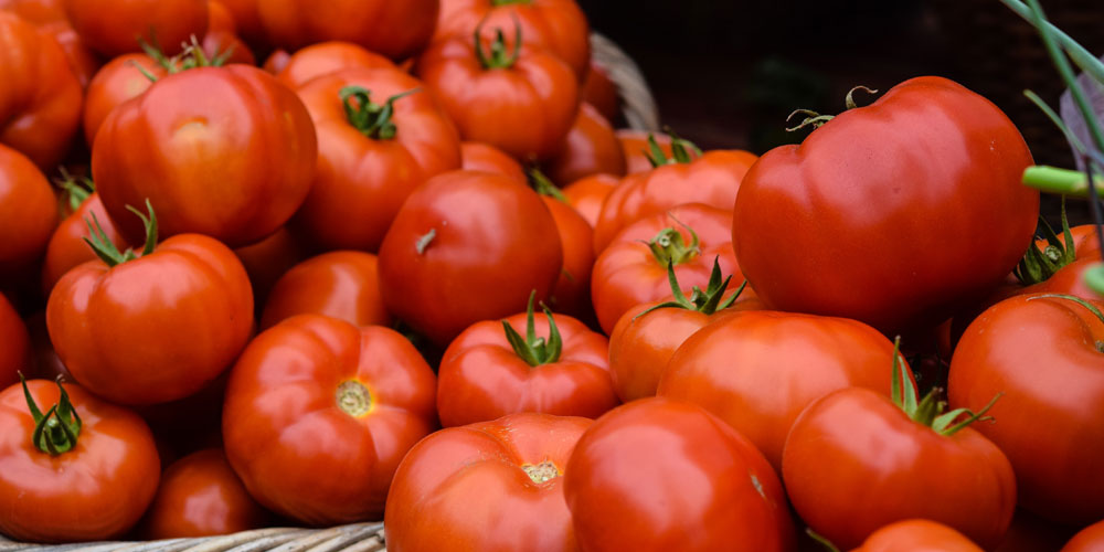 Wie gesund sind Tomaten eigentlich?