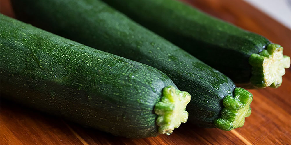 Zucchini-selber-ziehen
