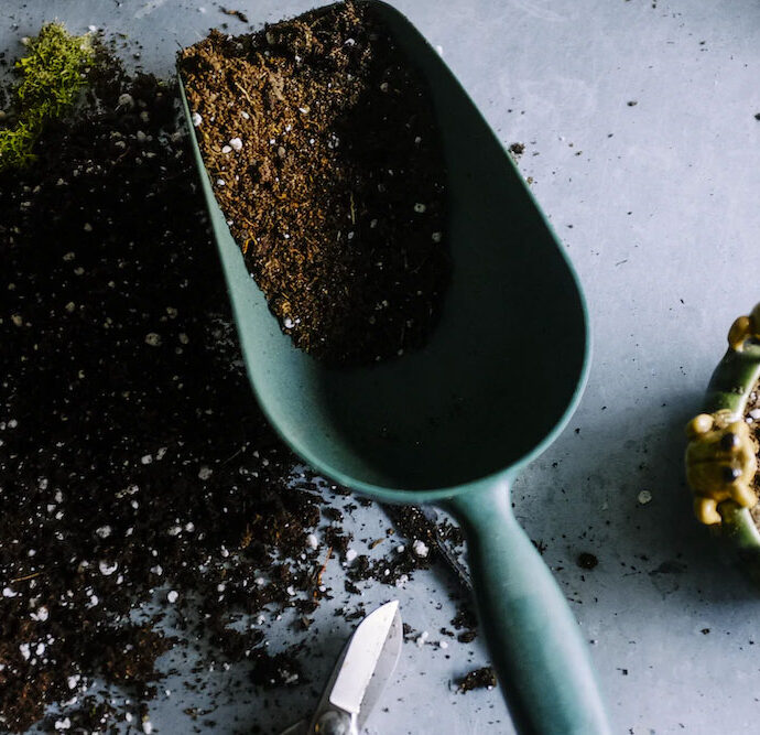 Selbstgemachter Kompost: Wertvolle Erde aus Küchen- und Gartenabfällen